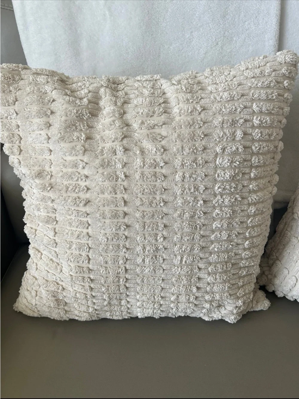 Set of 2 Textured Cream Throw Pillows